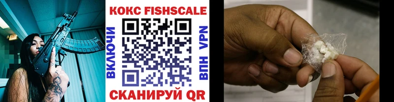 Купить закладки  Полевской  Cocaine FishScale 