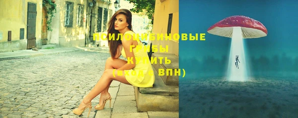 ГАЛЛЮЦИНОГЕННЫЕ ГРИБЫ Киреевск